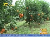 广西新闻 《广西新闻》 20160327