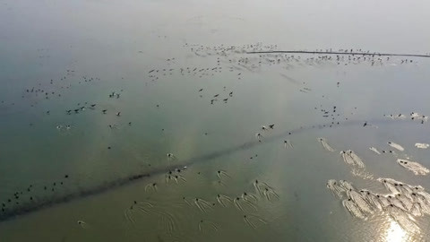 北京新闻20210104