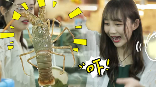 第7期：SNH48萌妹徒手抓生猛大龙虾