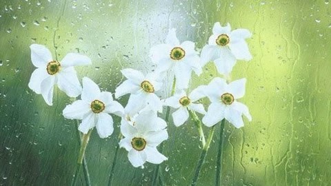 爱罗说书解读金瓶梅 贞是什么