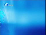 聚焦中原 《聚焦中原》 20151029