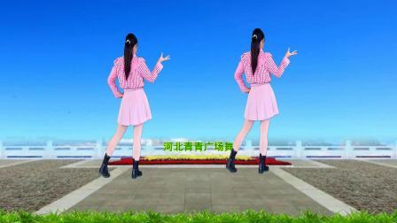 流行DJ广场舞及教学 第三季 广场舞《入骨相思谁人懂》背面演示+分解