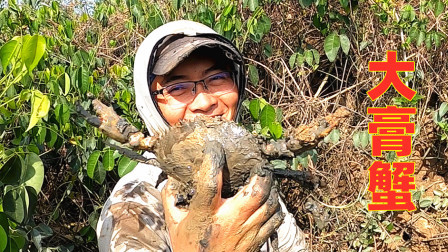 思乡渔夫赶海 荒废多年的养殖场住满老螃蟹，渔夫连抓7只都是大家伙，看着就过瘾