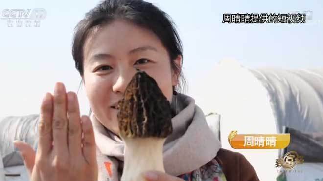 致富经 《致富经》 20200310 晴晴回乡种菇记