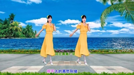 流行DJ广场舞及教学 第三季 简单广场舞《今生无悔爱过你》16步附教学