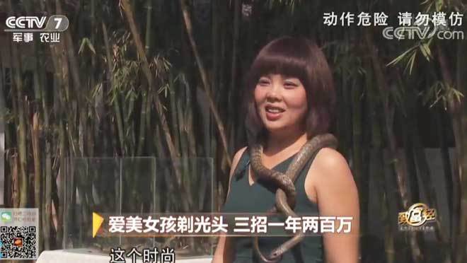 致富经 [致富经]爱美女孩剃光头 三招一年两百万 20190308