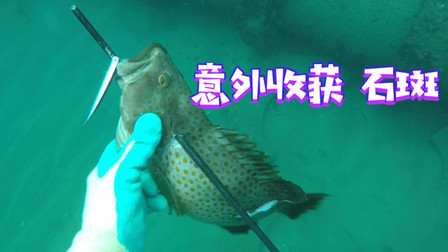 发现海底“水管”有鱼，跳入海里果然发现鱼群，一下子抓了不少