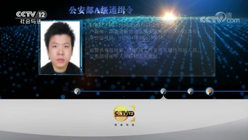 天网 《天网》 20190905 车站背包客
