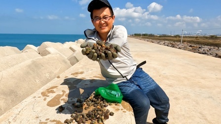 思乡渔夫赶海 赶海捡辣螺黄金季节到了，渔夫扬言要捡几十斤，爱吃海螺的女儿有福了