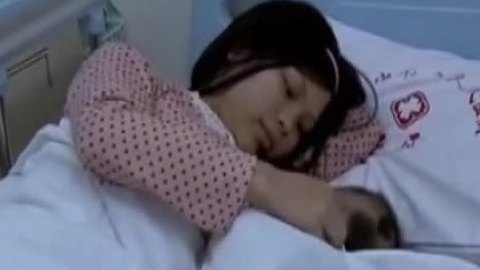 经典传奇 怪异的熊猫宝宝