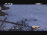 生财有道 《生财有道》 20150119 网冰下财富 赏冬捕奇观