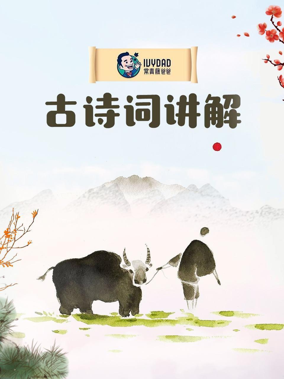 古诗词讲解