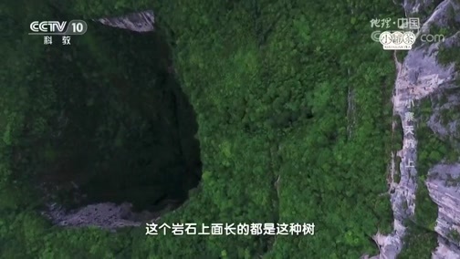 地理中国 《地理中国》 20190215 小寨天坑（上）