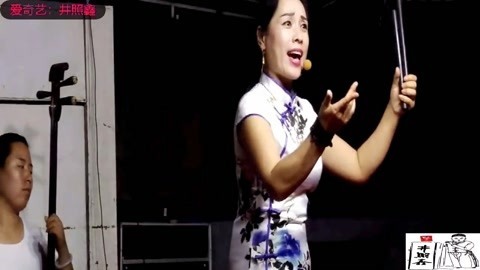 河南坠子 河南坠子 王建国 响马传
