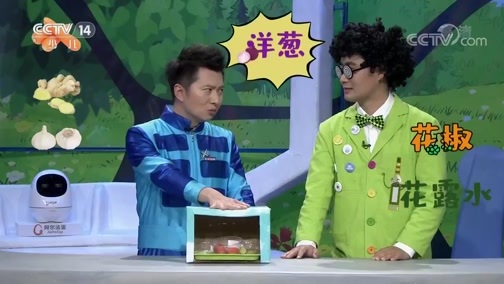智慧树 《智慧树》 20191113