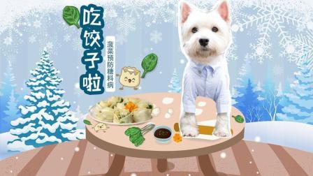 宠爱厨房 第一季 西高地烹饪增强狗狗体质的菠菜蒸花饺