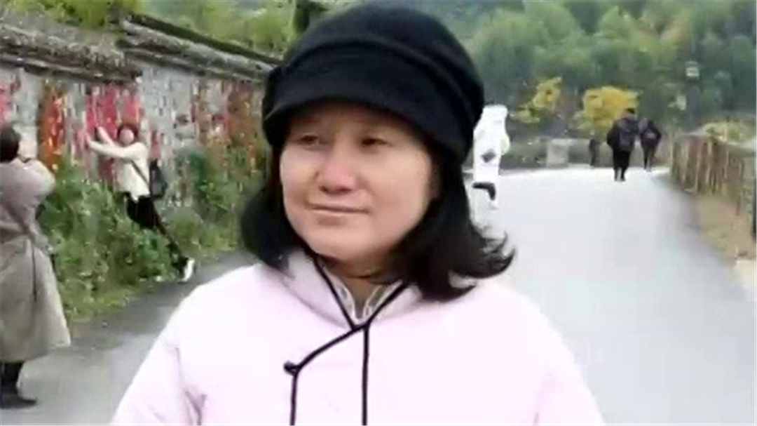 许榕真缙云推荐 铁城菜饭