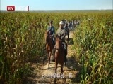 大戏看北京 《大戏看北京》 20141117 高粱为什么这样红