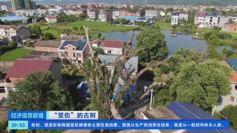 经济信息联播 《经济信息联播》 20220928