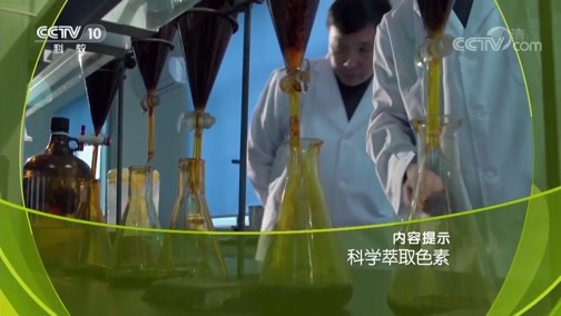 走近科学 《走近科学》 20190225 科学萃取色素
