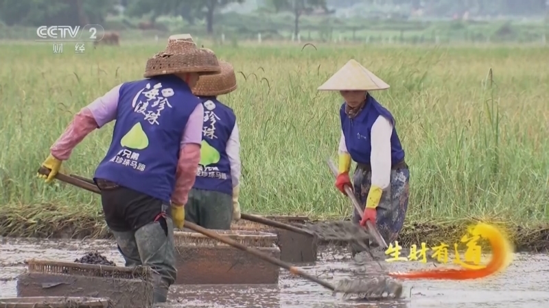 生财有道 《生财有道》 20240617 山海之间 田园之味