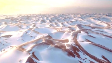 @所有人 一起来看大漠雪景的别样柔情
