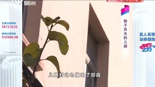 甲方乙方 抛子弃夫的儿媳