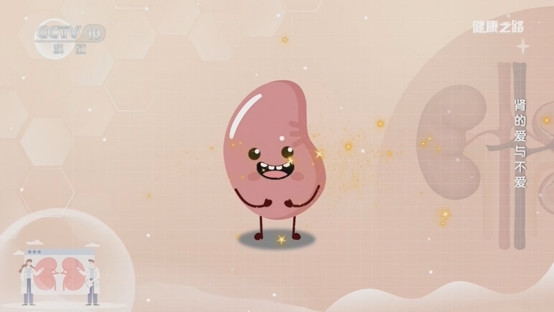 《健康之路》 20260117 肾的爱与不爱