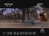 中国电影报道 《中国电影报道》 20140401