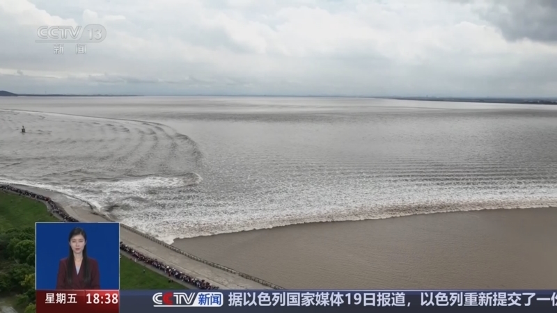 共同关注 《共同关注》 20240920