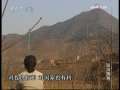 今日说法 今日说法 2009年 第115期