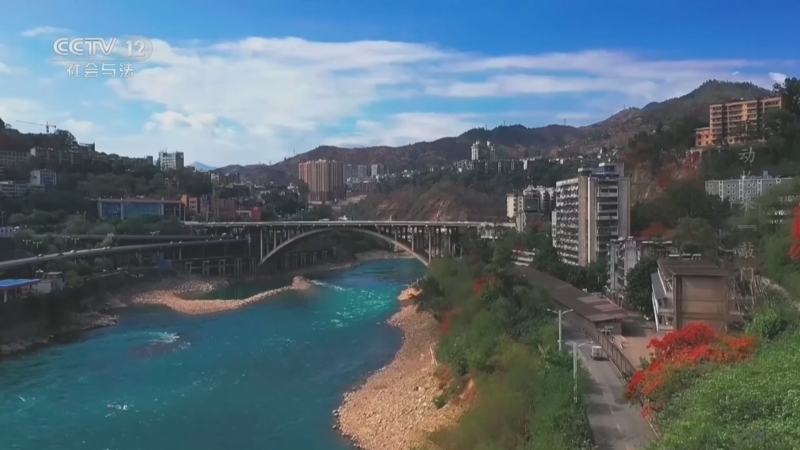 《生命线》 20260102 动物来“敲门”