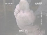 地理中国 《地理中国》山河春色 石村炼火 20150227