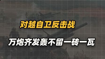 红墙往事 对越自卫反击战，越南忘恩负义，释放毒气弹，许世友下令万炮齐轰