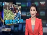东南晚报 《东南晚报》 20161117