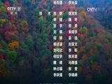 环球经济连线 《环球财经连线》 20161105