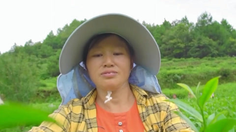 与梦想合拍 高峰村的高端定制