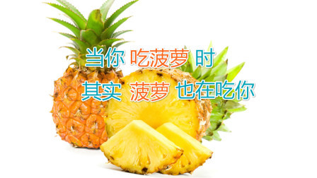 为什么说，当你吃菠萝的时侯，其实菠萝也在“吃”你？