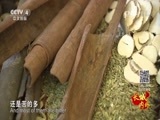 远方的家 《远方的家》长城内外特别节目 第3集 融合与混搭的长城味道