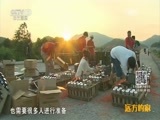 远方的家 《远方的家》特别节目 欢乐中国年 20160204