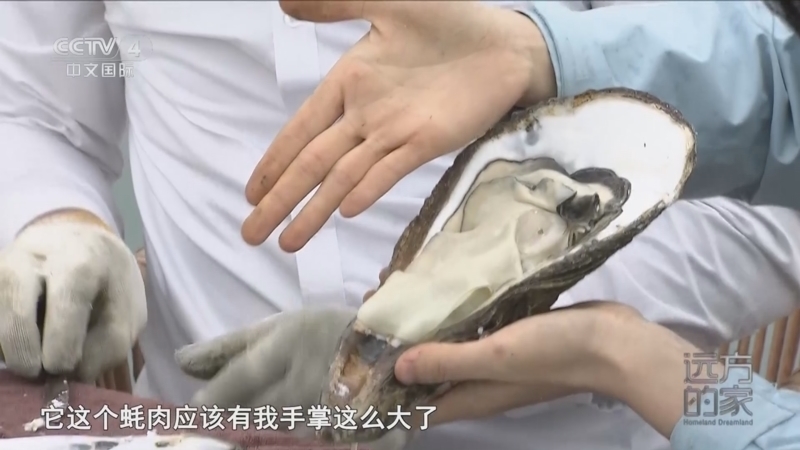 远方的家 《远方的家》 20250124 山河中国韵 山海相伴 海陆双丰