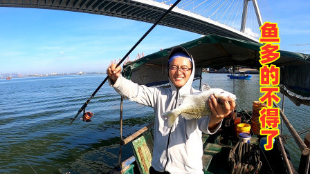 思乡渔夫赶海 这个钓点挂底挂到怀疑人生，但鱼是真的多，随随便便就钓爆箱了