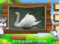 看图识物 海鸥 天鹅 鹦鹉