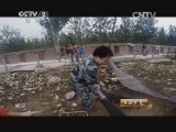 生财有道 《生财有道》 20140722 长在野菜地里的藏香猪