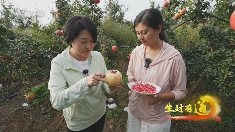 生财有道 《生财有道》 20241010 爆汁鲜石榴 火红千万财