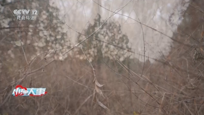 《小区大事》 20260322 十五小时脱困