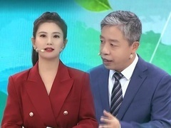 大医本草堂 2024 针药并用调失眠 中医常见失眠症型