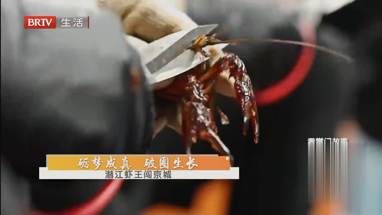 味道掌门 砺梦成真  破圈生长——东北老菜进京翻身记