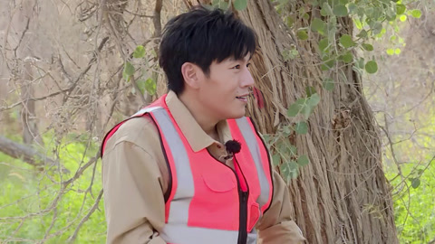 极限挑战宝藏行 秦昊给雷佳音做沙疗 魏大勋杨超越沙漠寻宝(二)