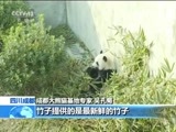 新闻直播间 《新闻直播间》 20161207 15:00